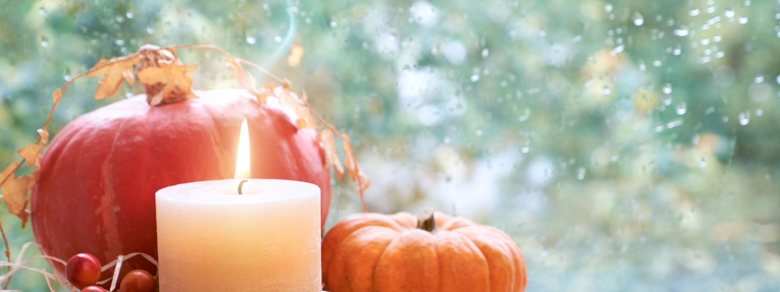 Fall Faves