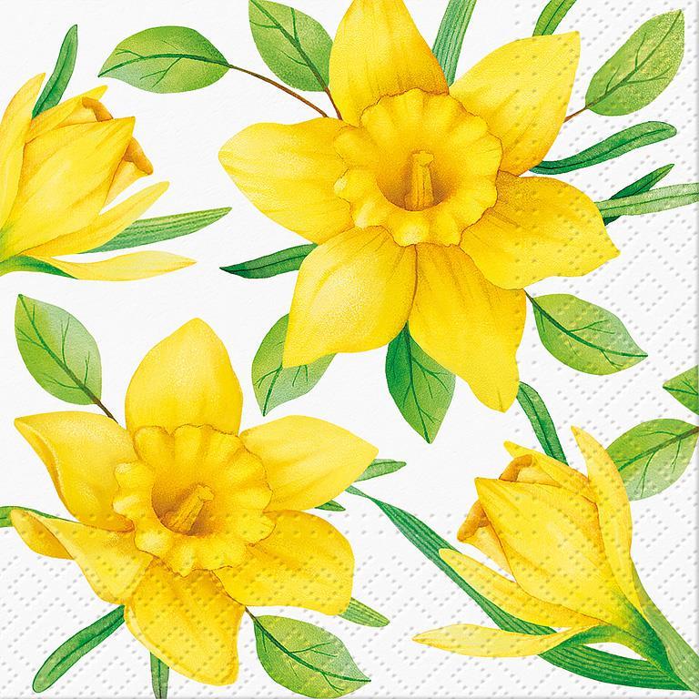 Daffodils In Bloom Lunch Napkins