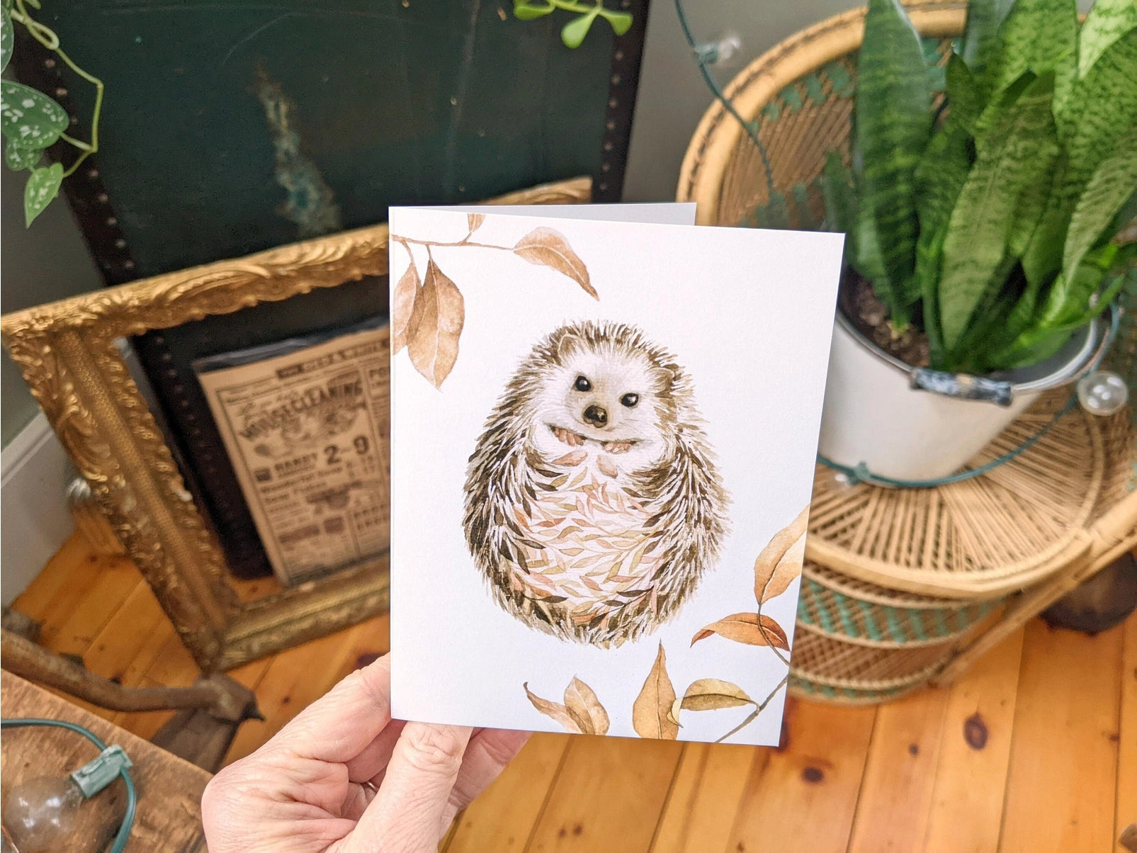 Hedgehog, Greeting Card