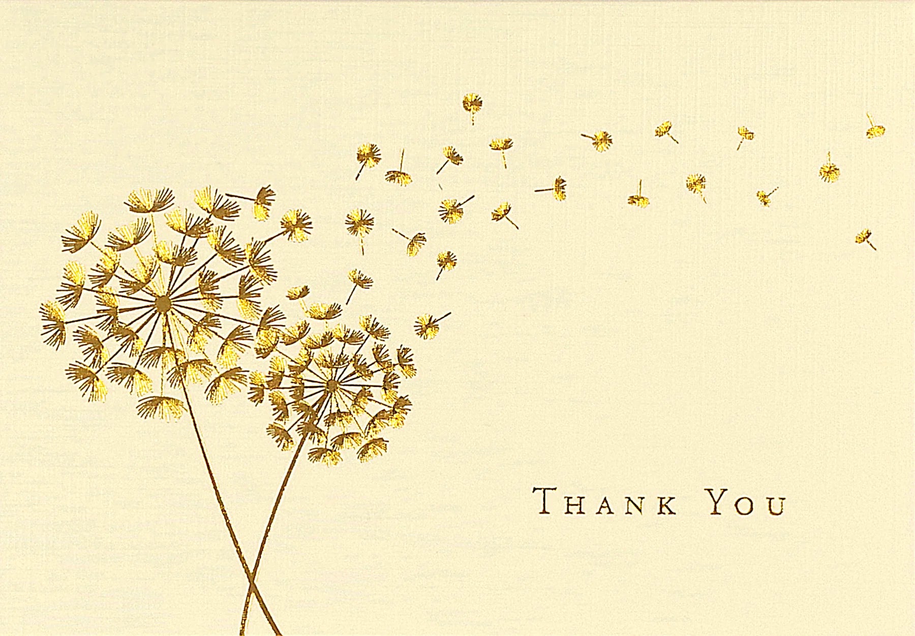 Dandelion Wishes Thank You Note Cards