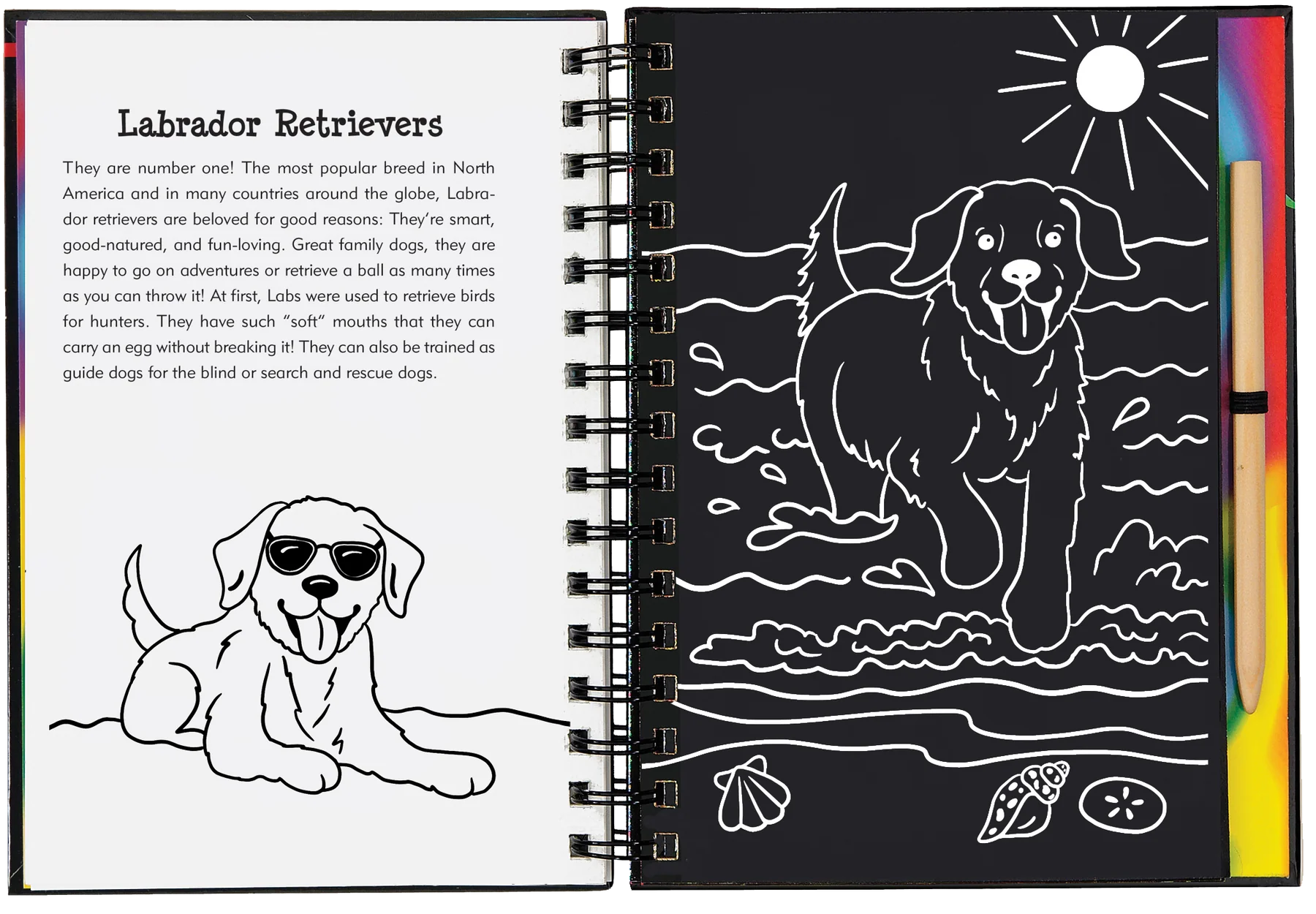 Puppies Scratch and Sketch