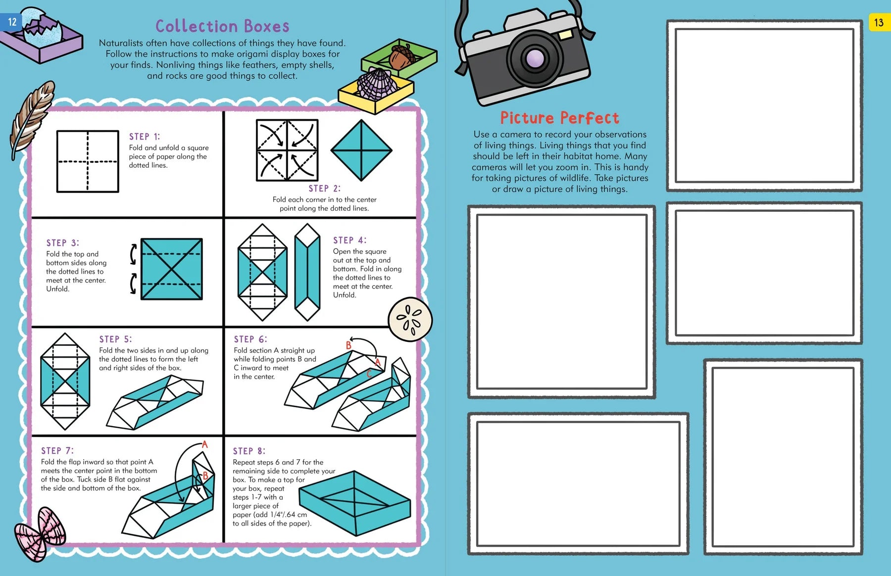 The Nature Explorer's Activity Book