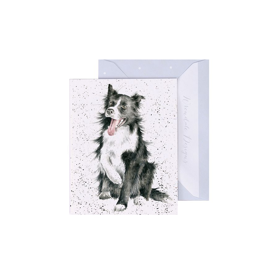 Shadow Border Collie Enclosure Card