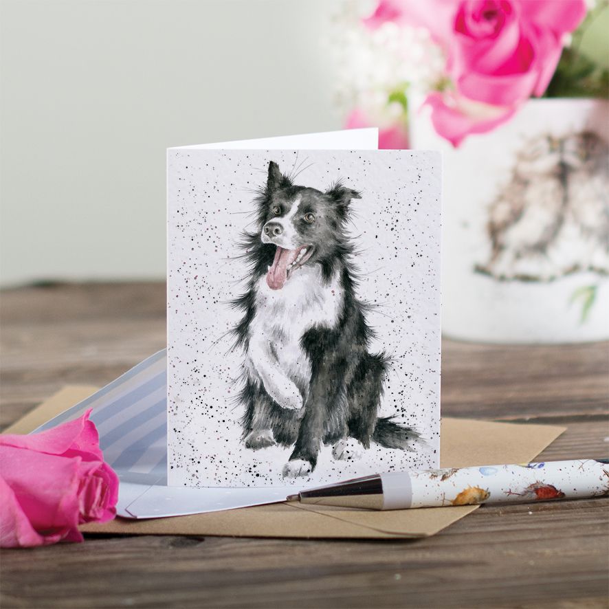 Shadow Border Collie Enclosure Card