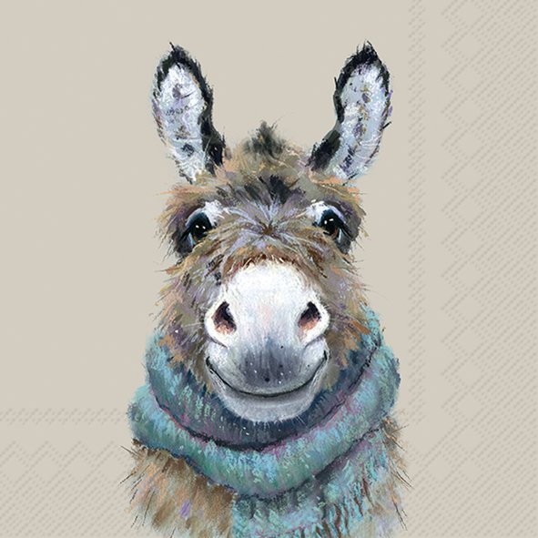 Donkey Lunch Napkins