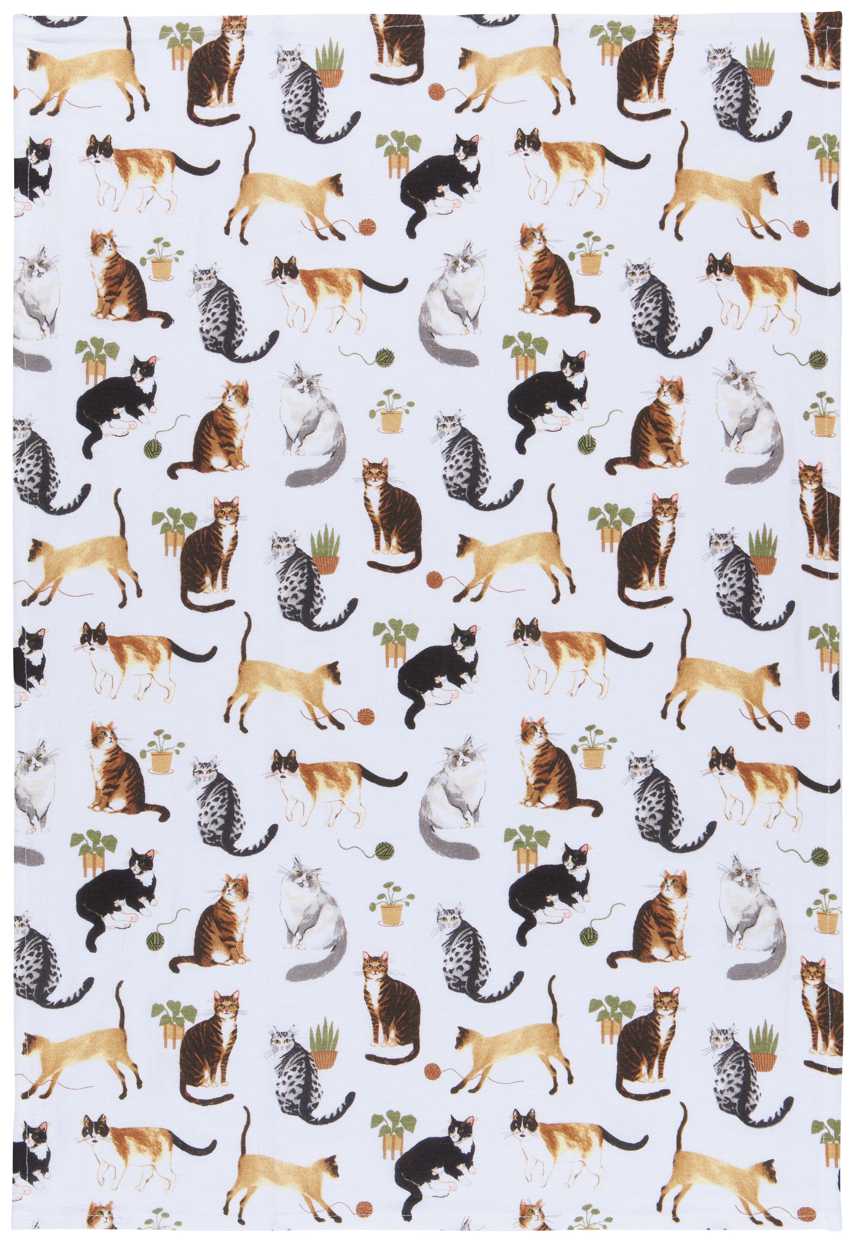 Cat Collective Bakers Flour Sack Tea Towels, Set of 3