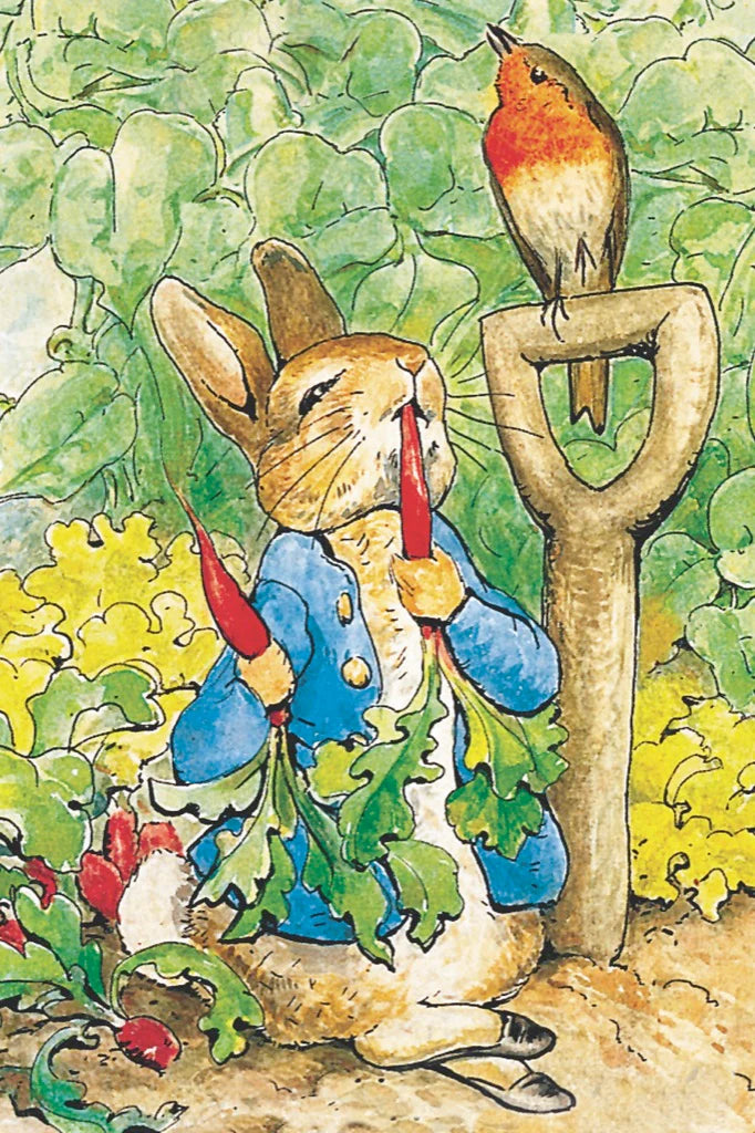 Peter Rabbit, Mini Puzzle