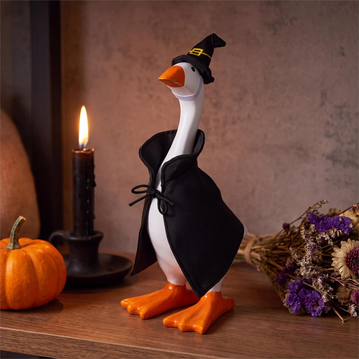 Gordy The Desktop Goose Outfit, Witch