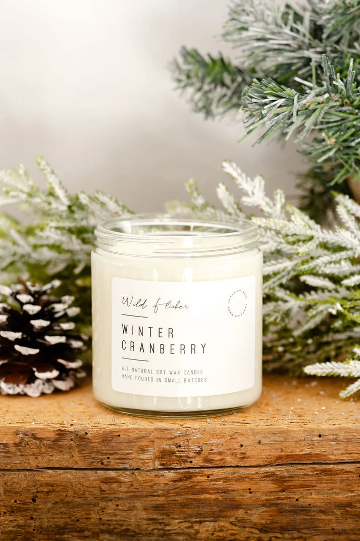 Winter Cranberry Soy Wax Candle π¨π¦