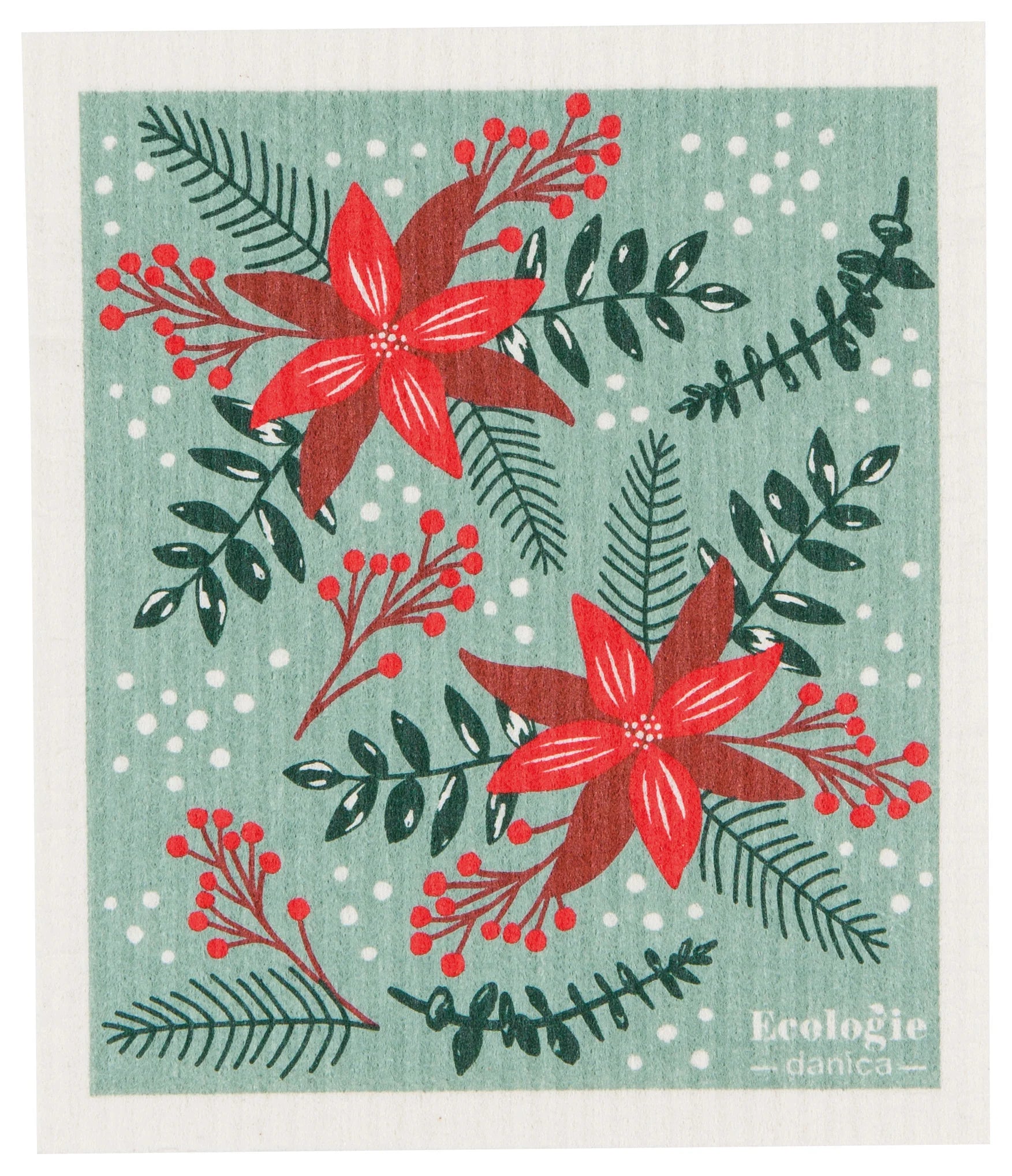 Poinsettia, Single