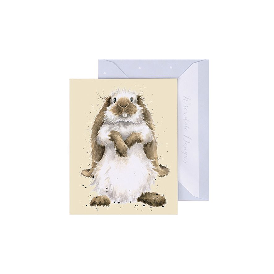 Earisistible Rabbit Enclosure Card