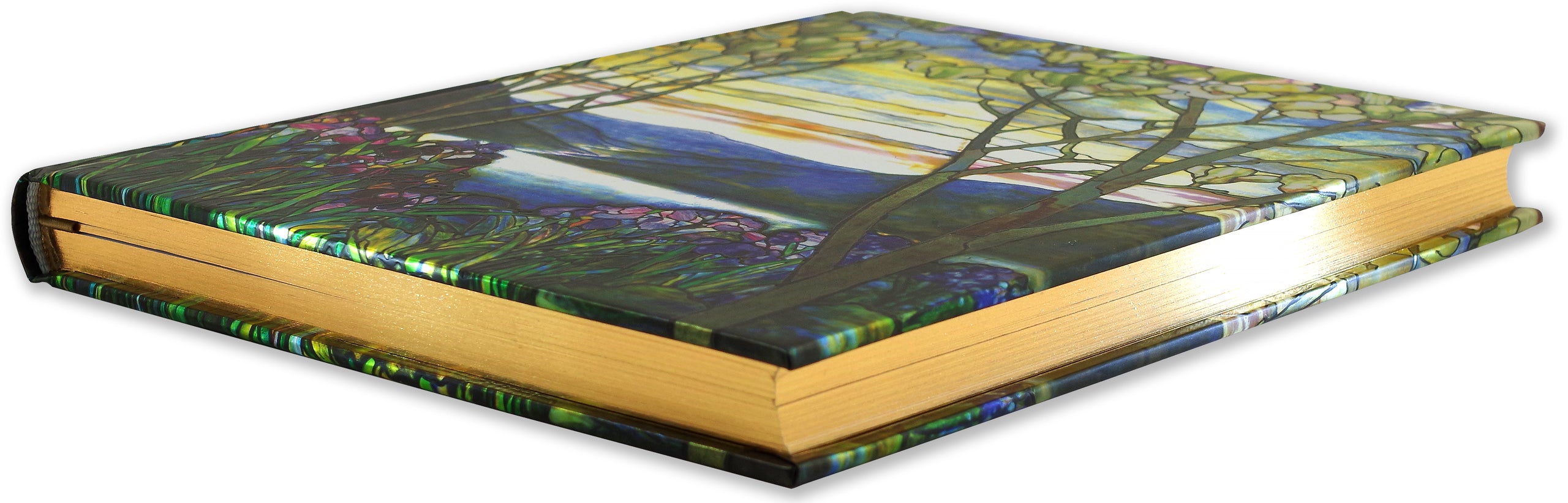 Journal cover with side view of a mosaic style valley with a cloudy sunset