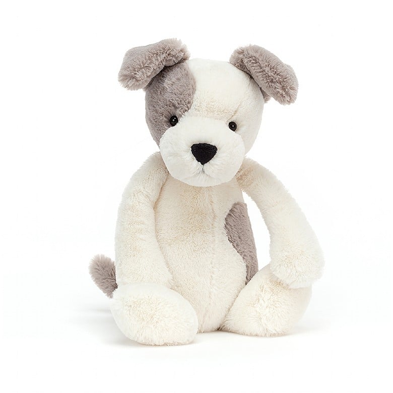 Plush light brown and white terrier
