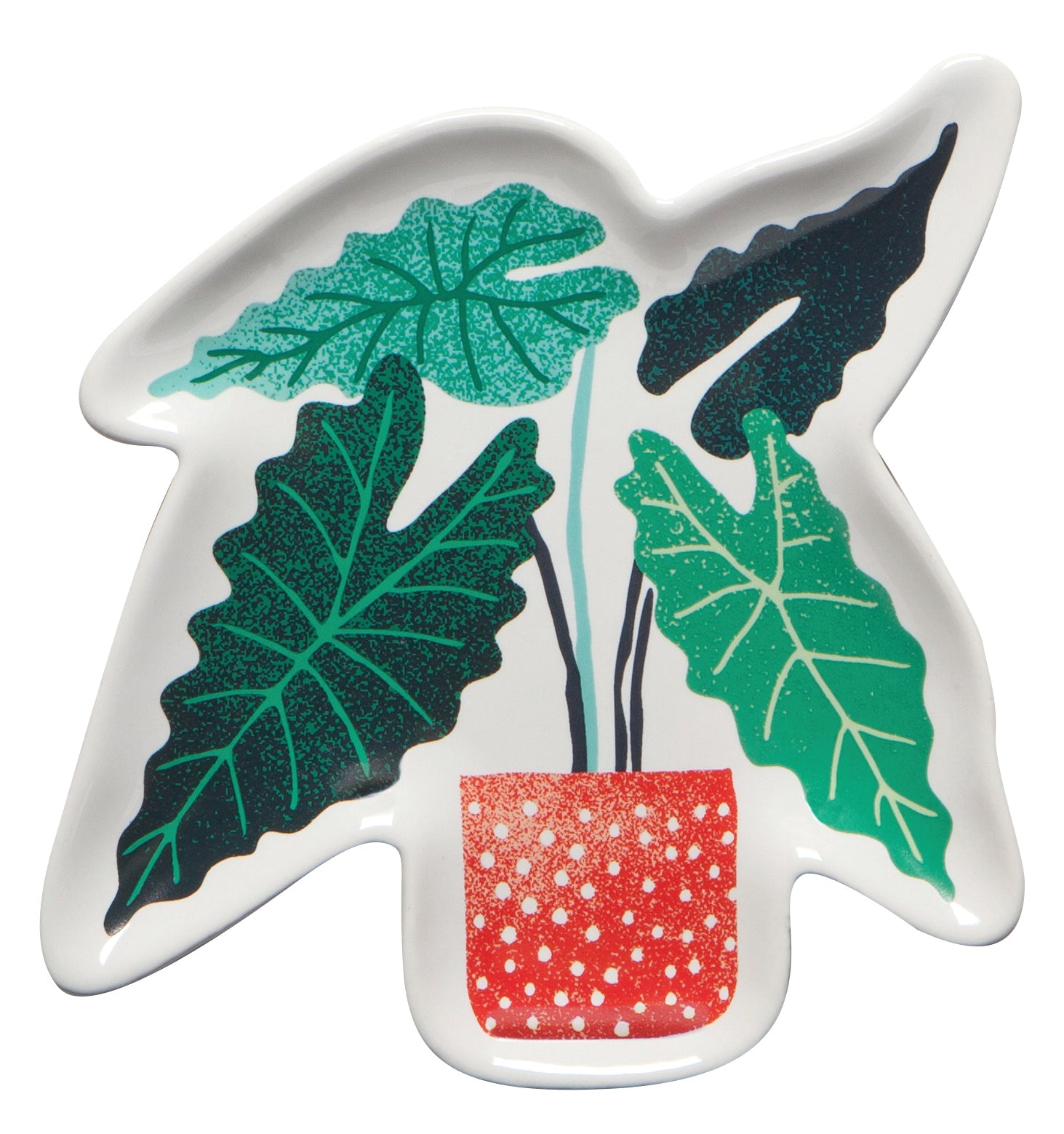 Let It Grow Shaped Dishes, Set of 3