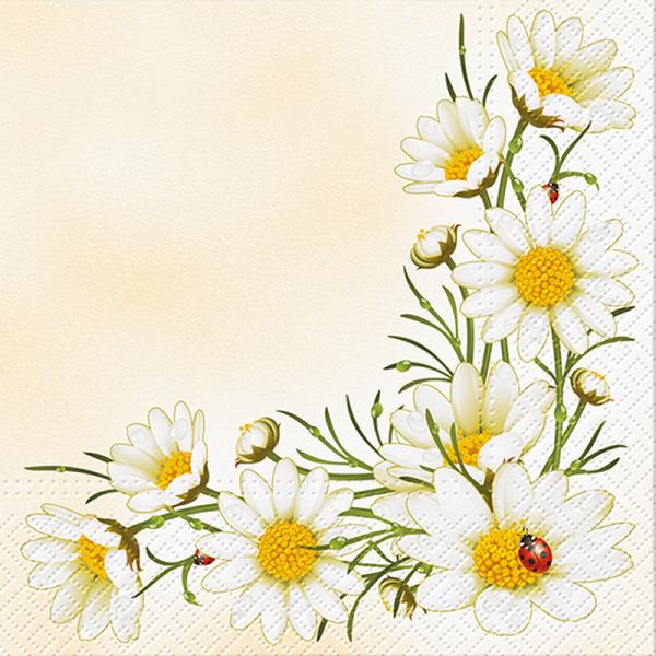 Daisy & Ladybugs Lunch Napkins