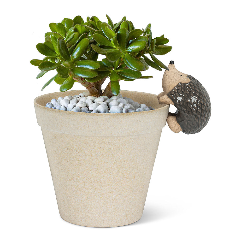 Climbing Hedgehog Pot Hanger