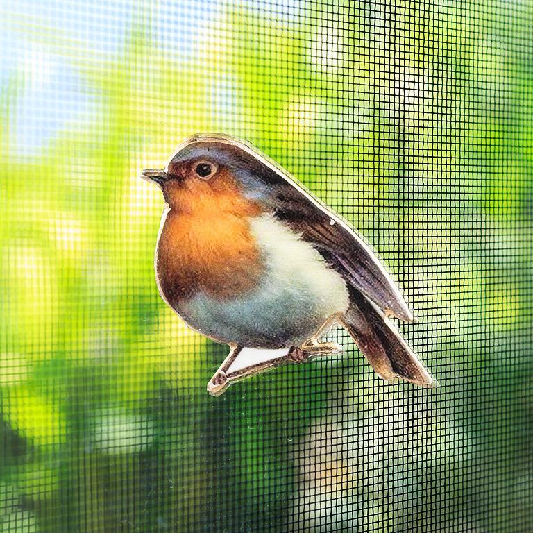 Bird Two-Sided Magnet