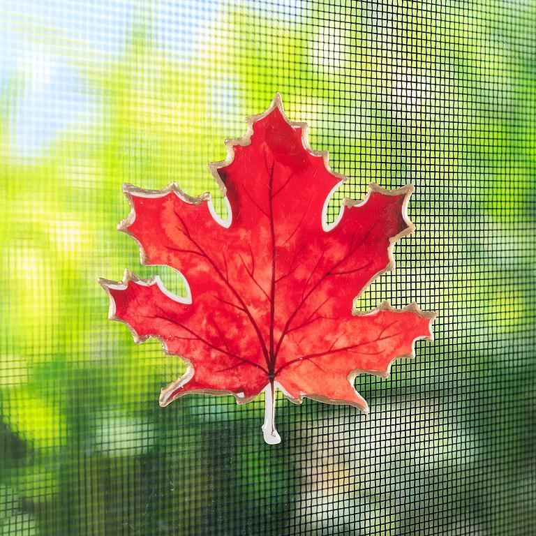 Maple Leaf Two-Sided Magnet