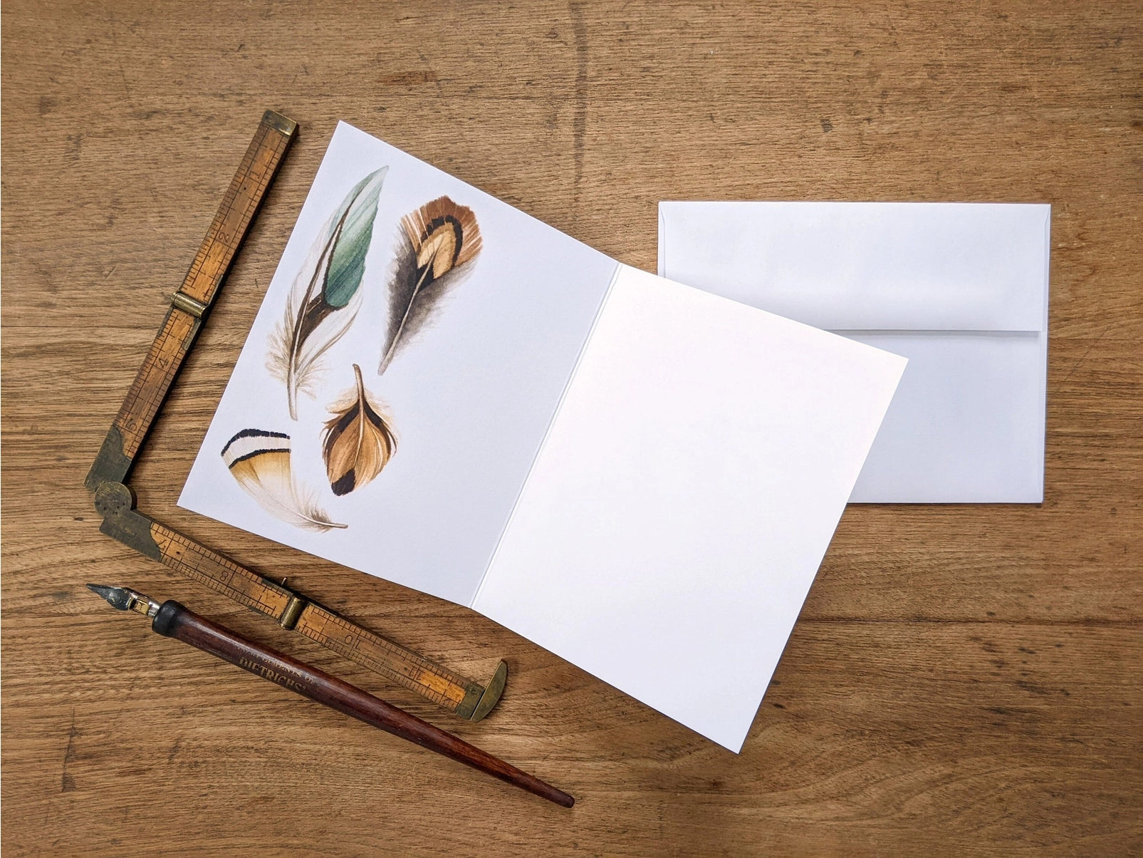 Raccoon, Greeting Card