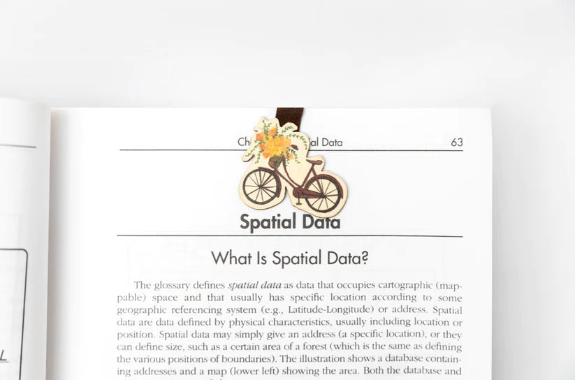 cartoon brown vintage bicycle with yellow flowers in the basket on a page about spatial data