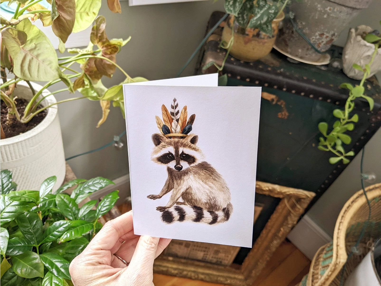 Raccoon, Greeting Card