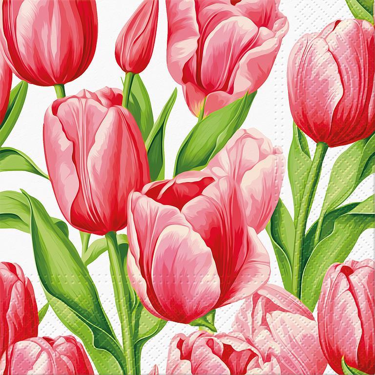 Tulip Time Lunch Napkins