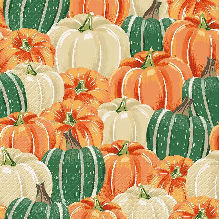 Pumpkin Field Napkins