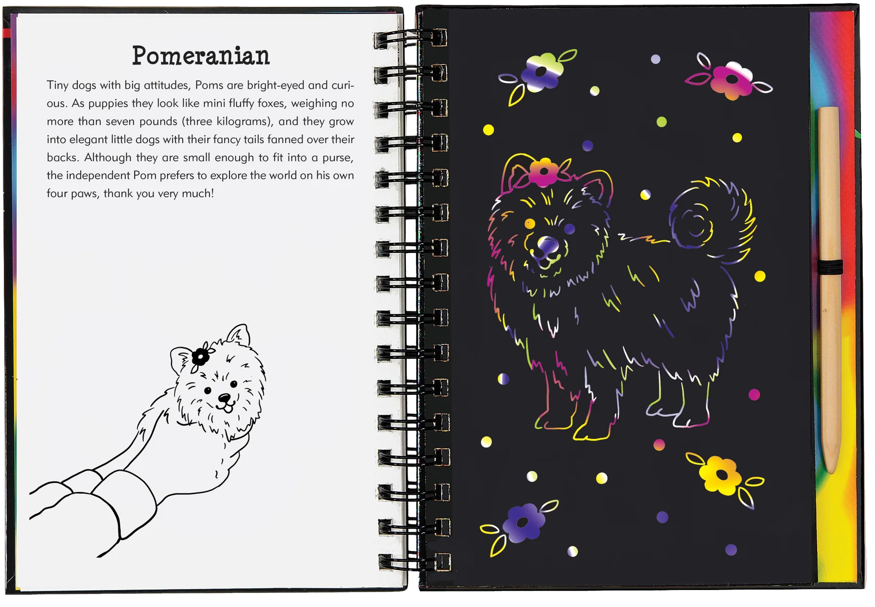 Puppies Scratch and Sketch