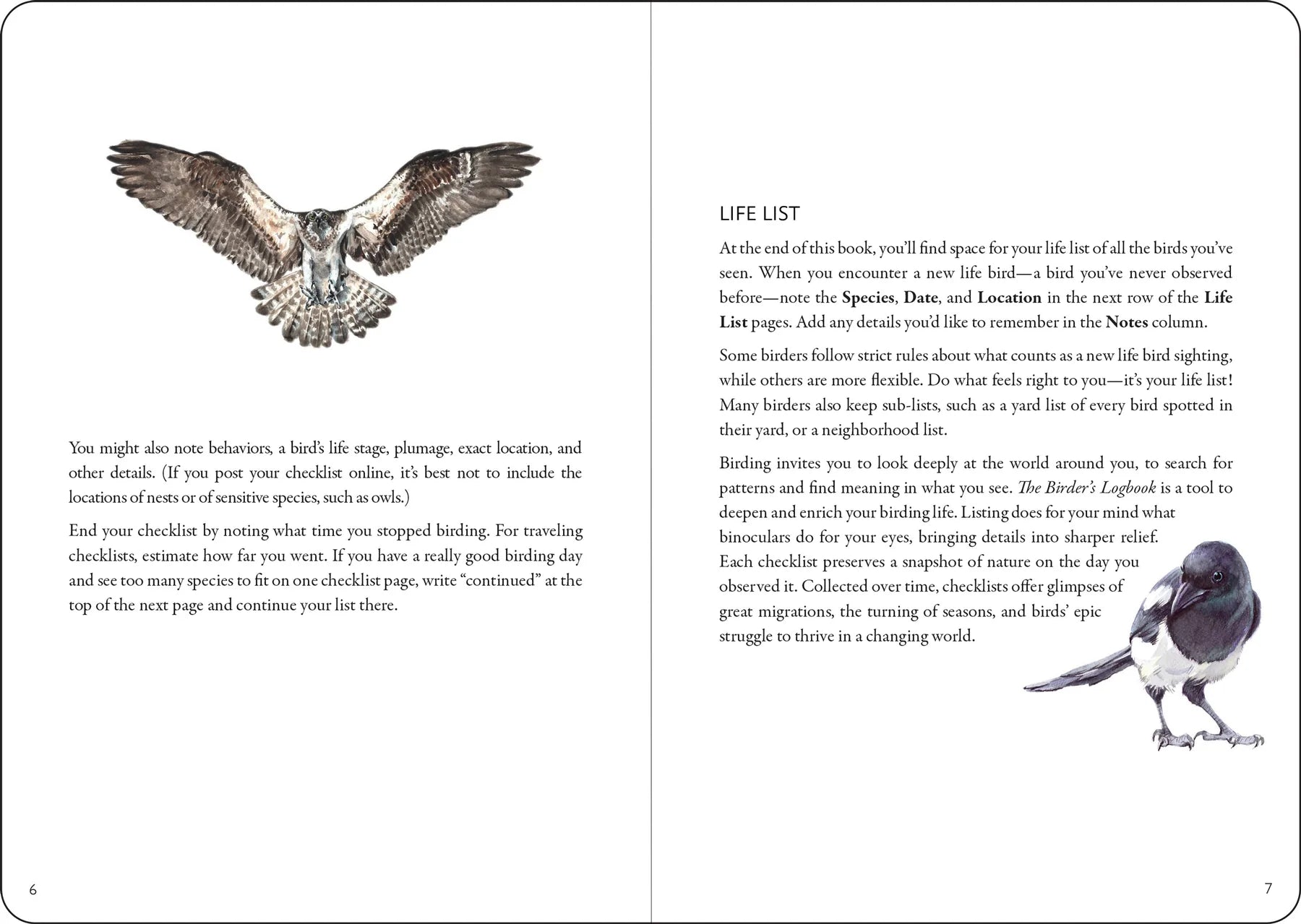 two bages of a book describing how to birdwatch, with a different bird on each page