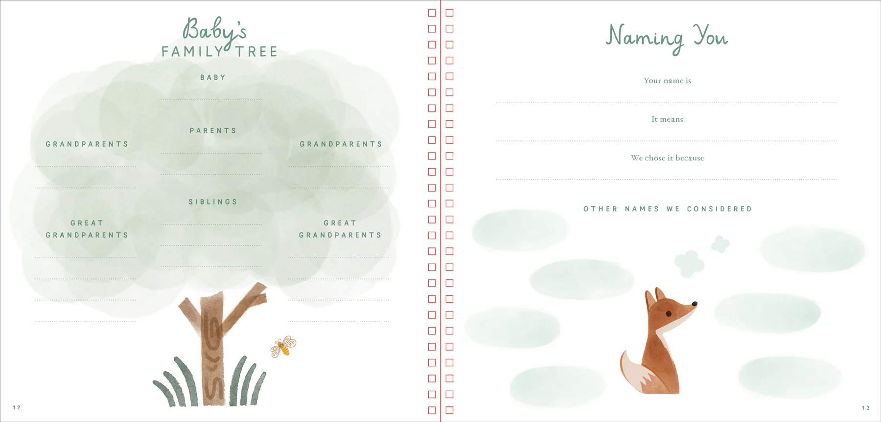 Baby's First Years: Baby Book and Keepsake Photo Album