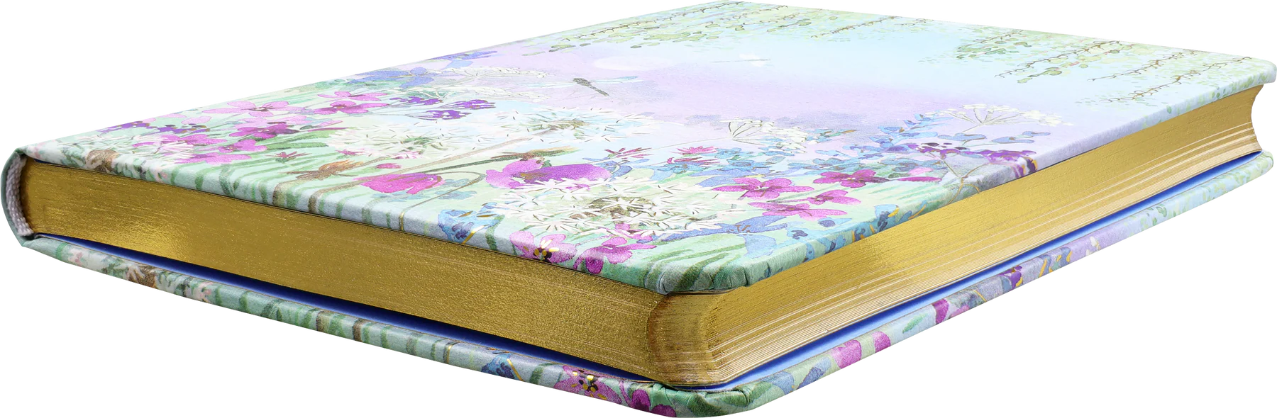 Dragonflies & Dandelions Journal