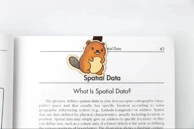 Wooden beaver bookmark on a page about Spatial Data