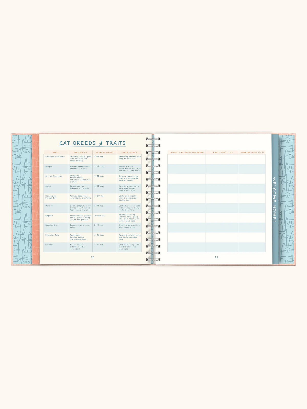 It's a Cat! Guided Journal