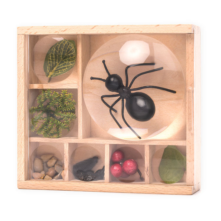 Huckleberry My Little Museum