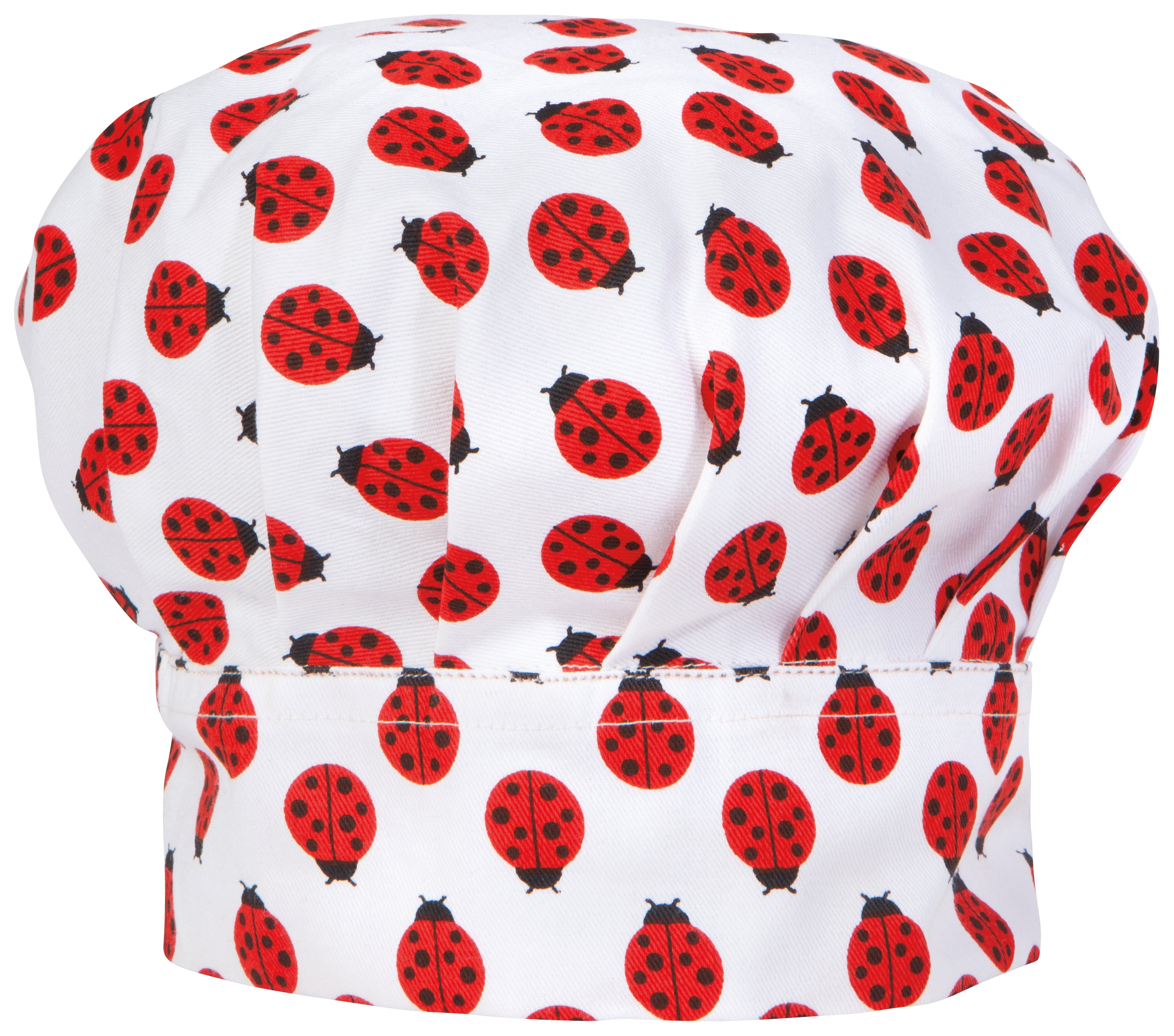 Ladybug Daydream Kids Apron and Hat Set