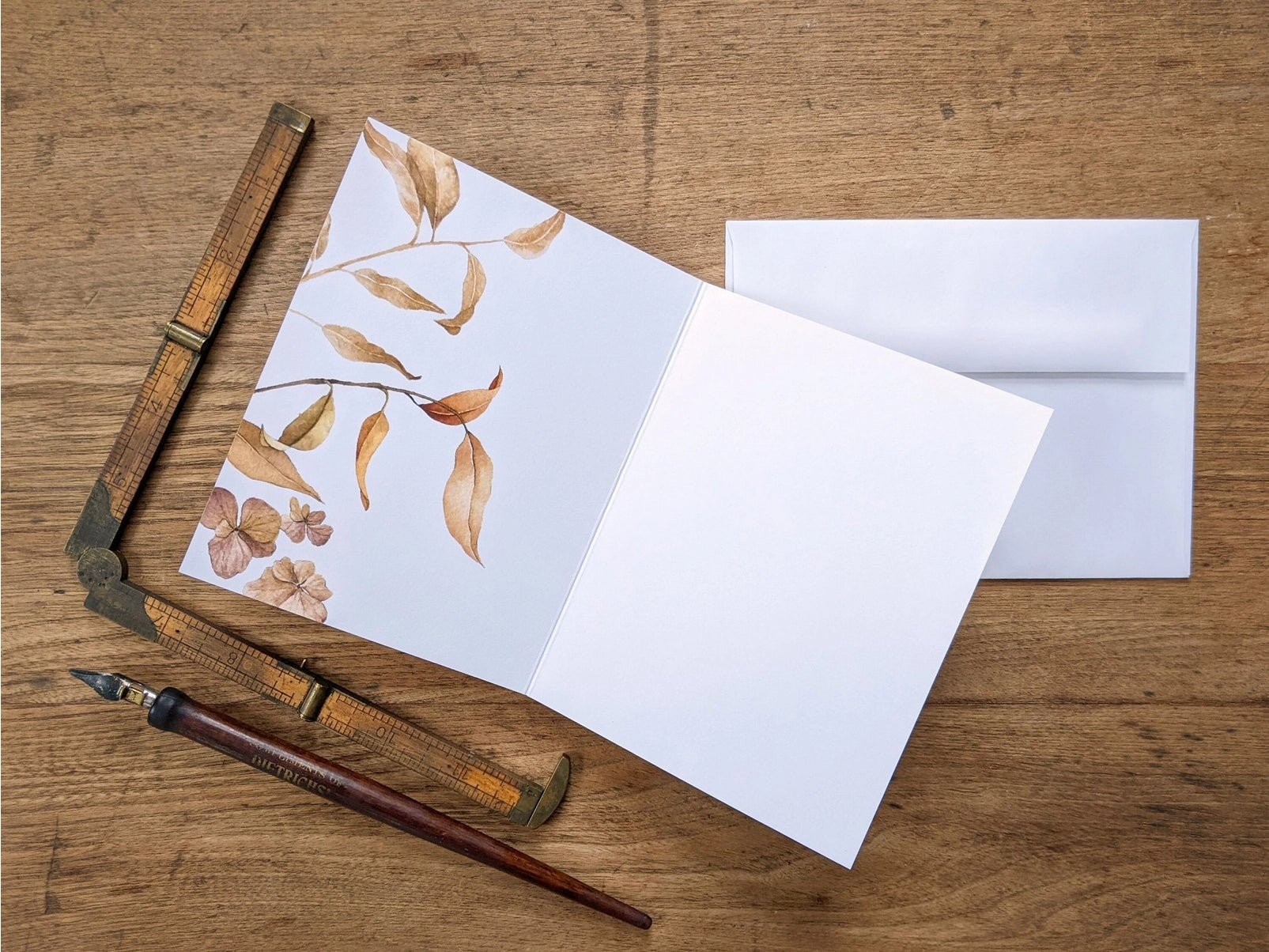 Hedgehog, Greeting Card