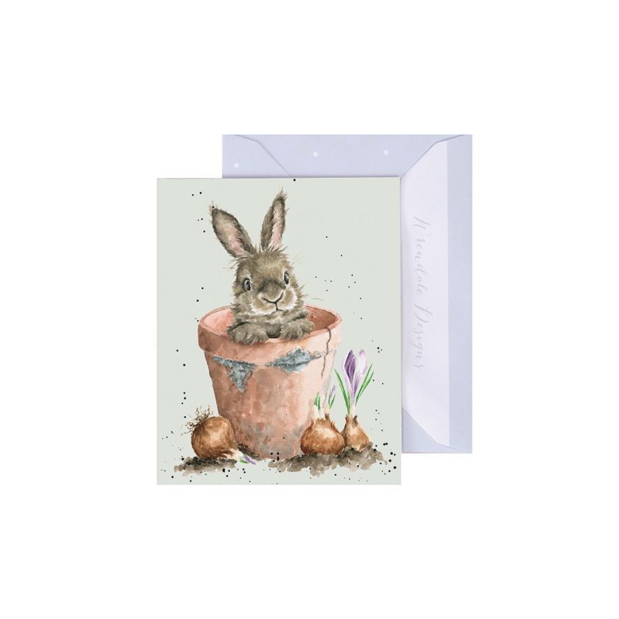 Flower Pot Bunny Enclosure Card