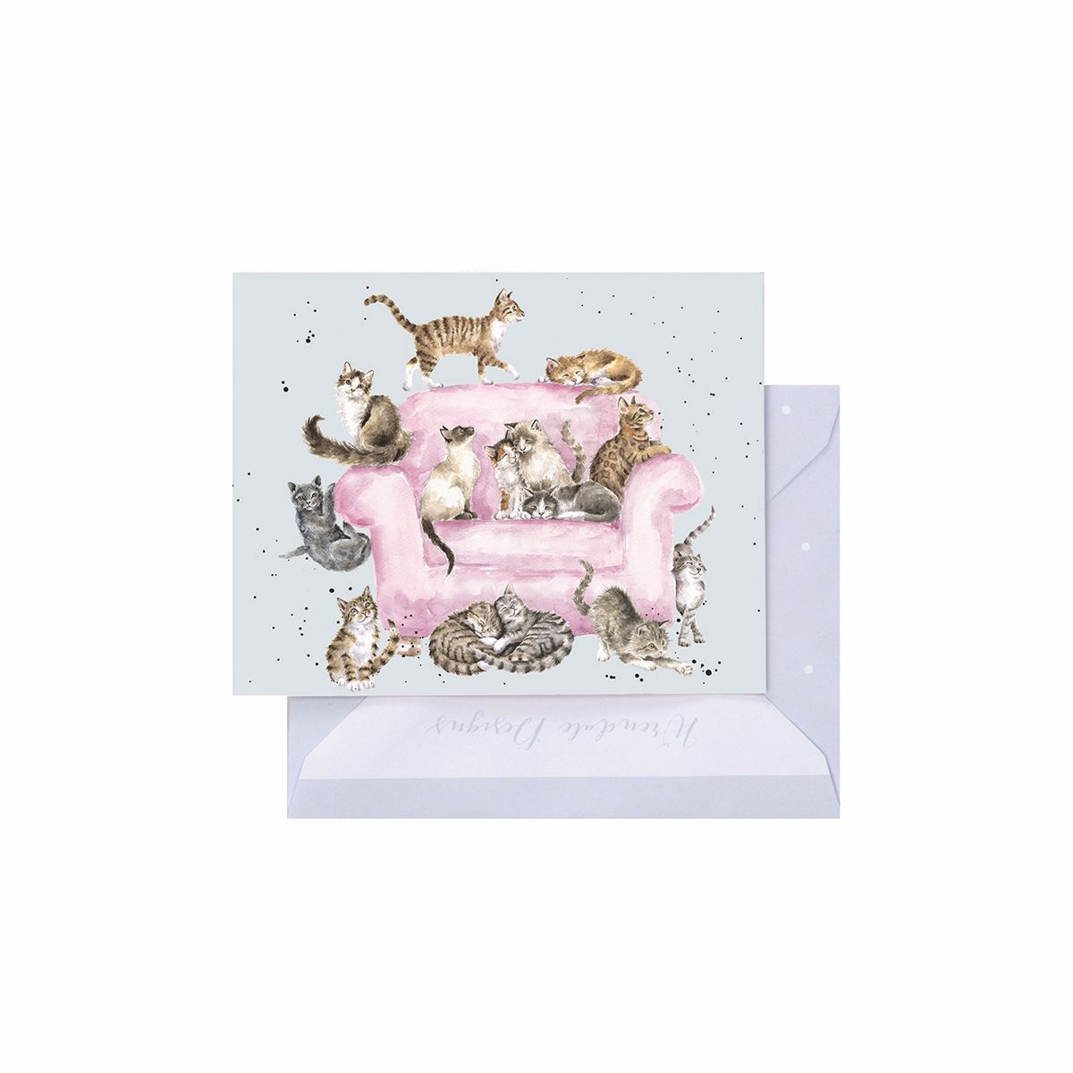 Cattitude Cat Enclosure Card