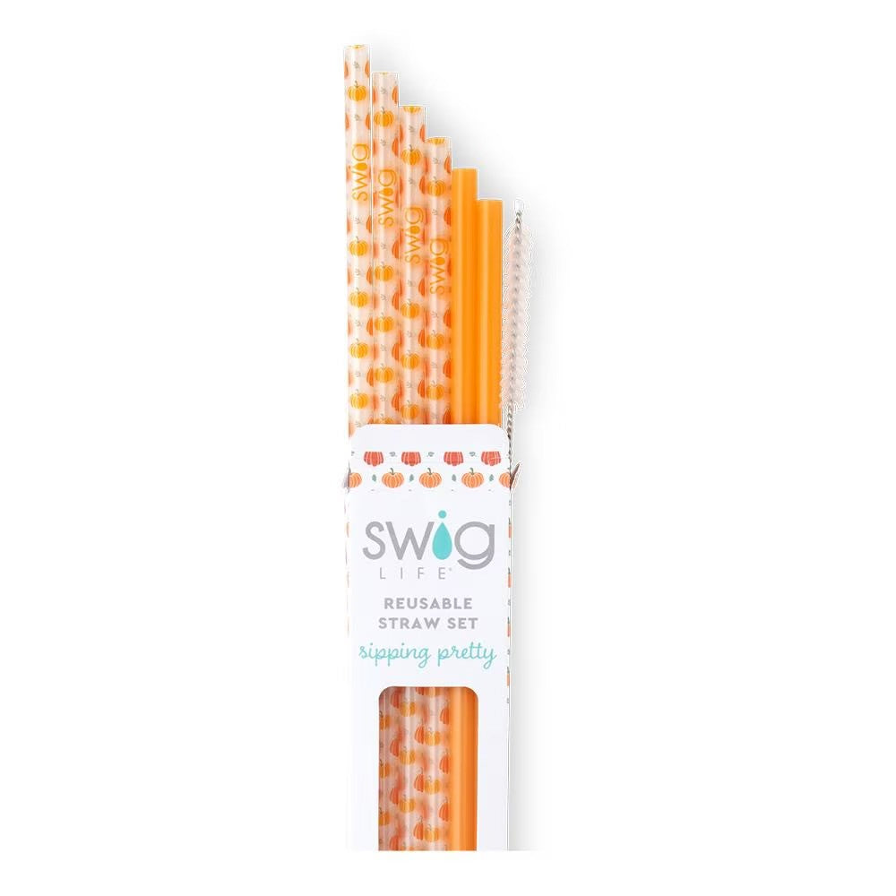 Pumpkins & Orange Reusable Straw Set