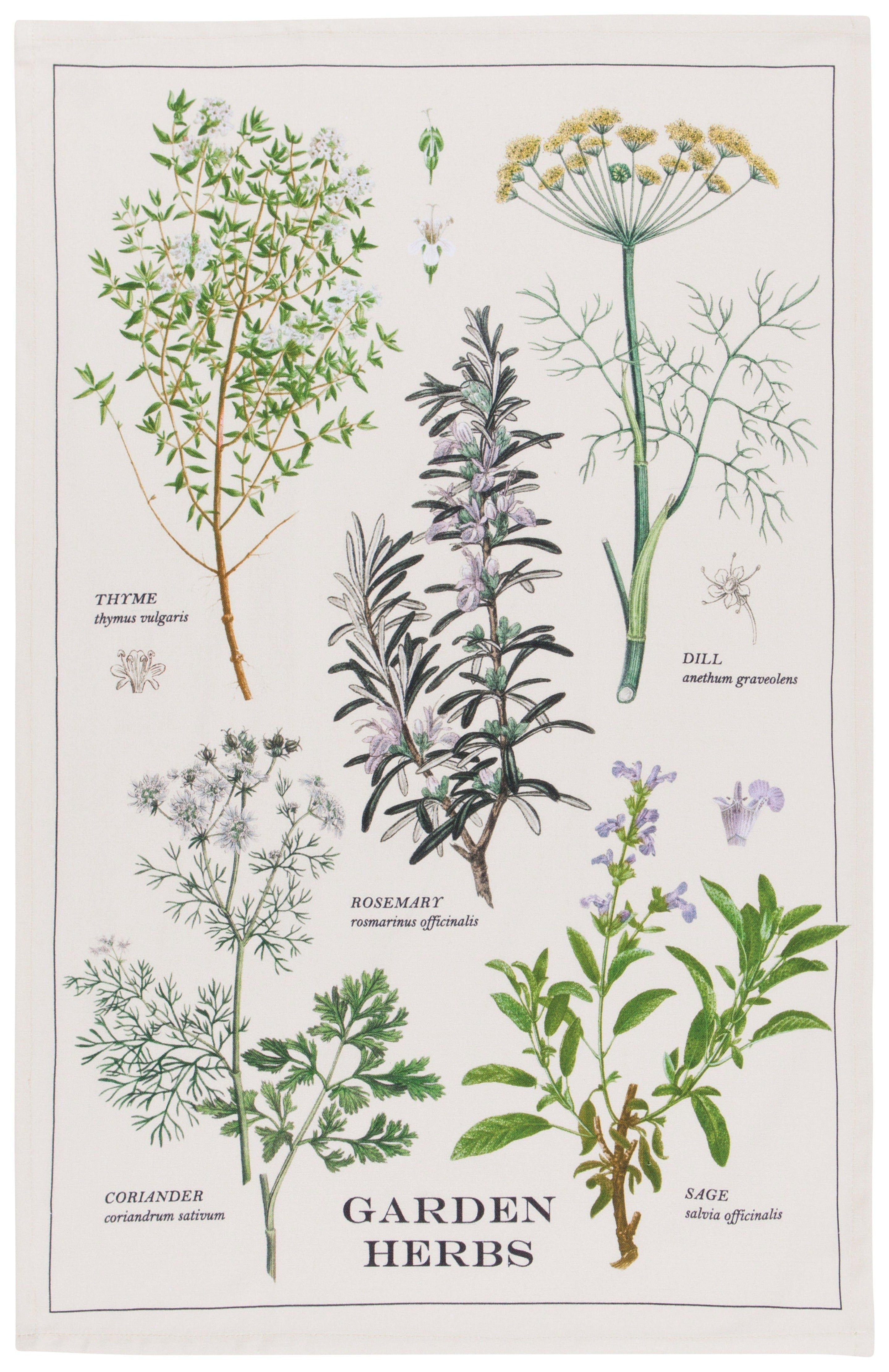 Garden Herbs Dishtowel