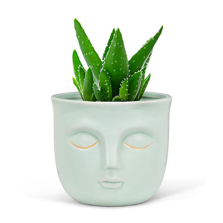 Small Sleeping Face Planter in Mint