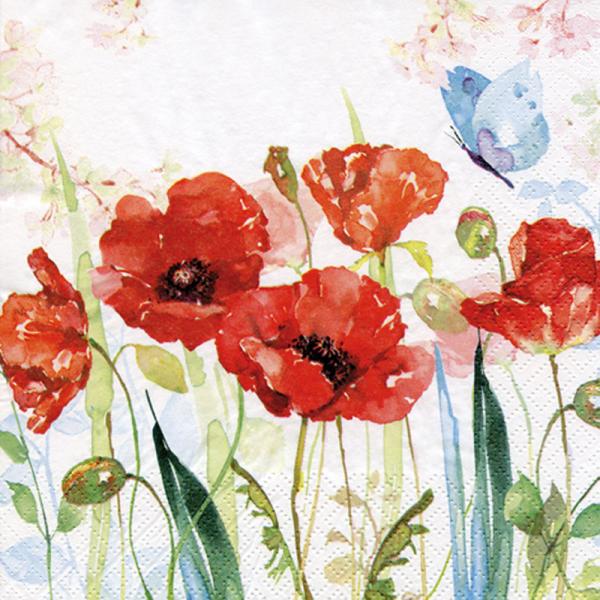 Poppies & Butterfly