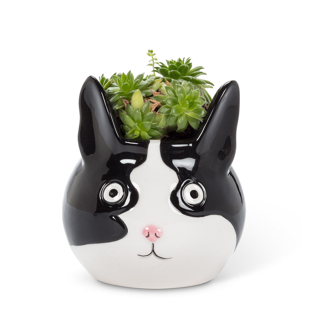 Small Cat Head Planter